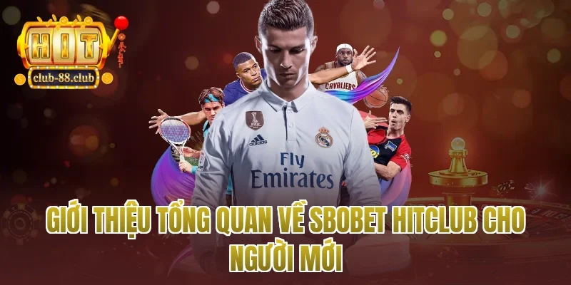 Giới thiệu tổng quan về Sbobet Hitclub cho người mới
