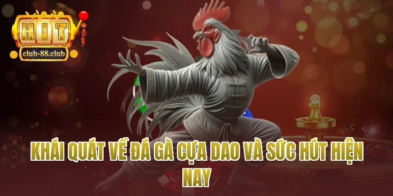 Khái quát về đá gà cựa dao và sức hút hiện nay