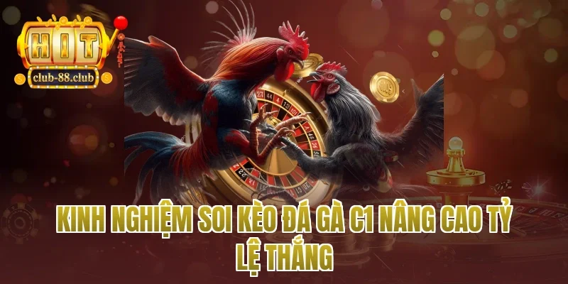Kinh nghiệm soi kèo đá gà c1 nâng cao tỷ lệ thắng