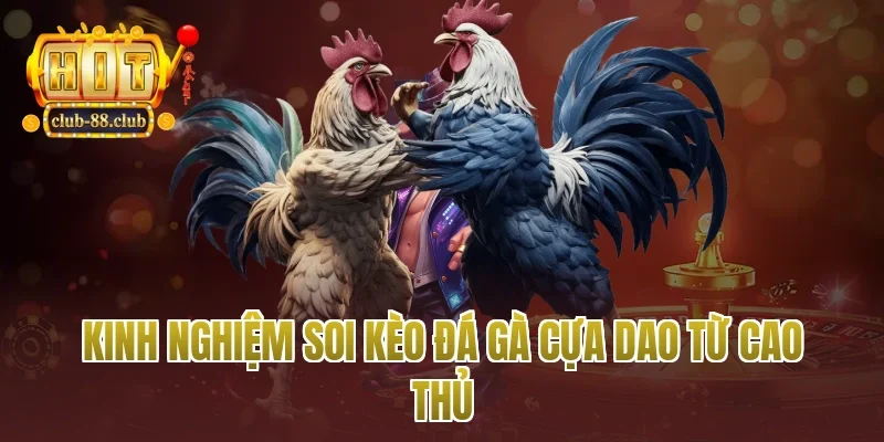 Kinh nghiệm soi kèo đá gà cựa dao từ cao thủ