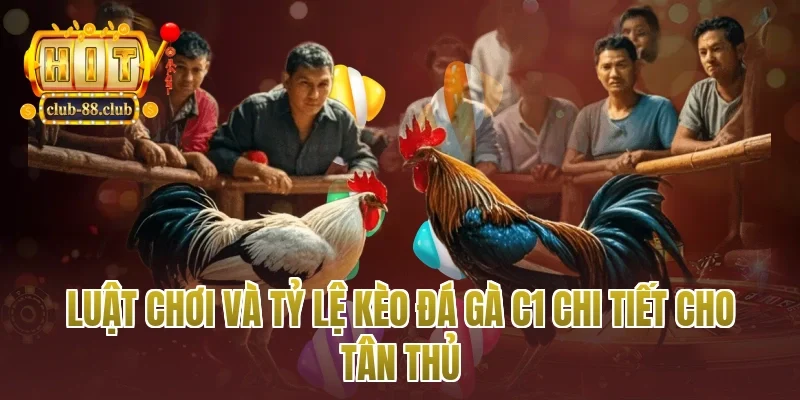 Luật chơi và tỷ lệ kèo đá gà c1 chi tiết cho tân thủ
