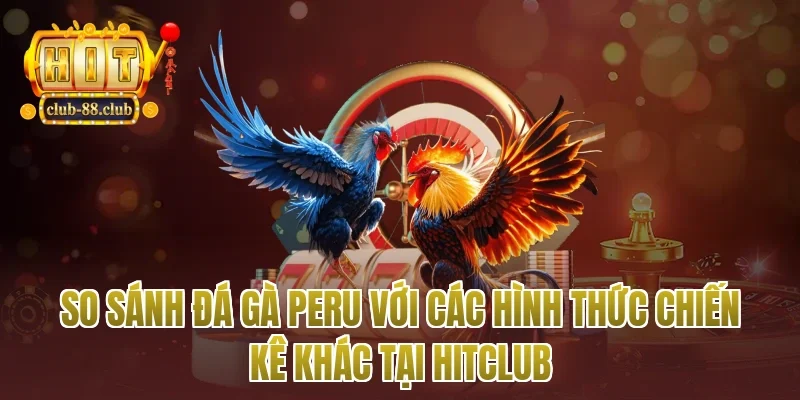 So Sánh Đá Gà Peru Với Các Hình Thức Chiến Kê Khác Tại Hitclub